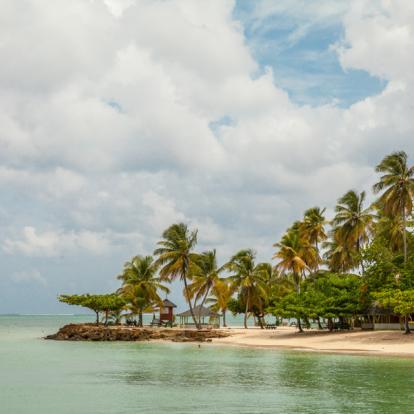Voyage à Trinité et Tobago: A la découverte de Tobago