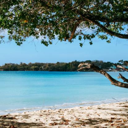 Voyage à Trinité et Tobago: A la découverte de Tobago
