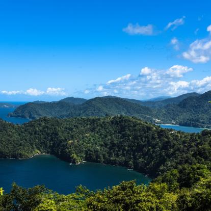 Trinidad and Tobago Voyage à Trinité et Tobago: La Facette Sauvage de la Caraïbe