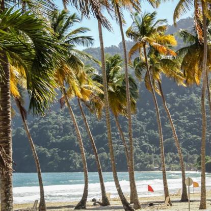 Voyage à Trinité et Tobago: La Facette Sauvage de la Caraïbe