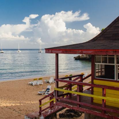 Voyage à Trinité et Tobago: La Facette Sauvage de la Caraïbe