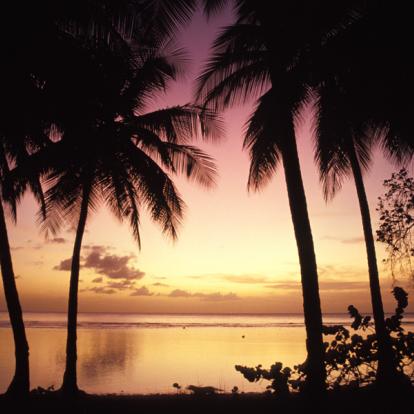 Voyage à Trinité et Tobago: La Facette Sauvage de la Caraïbe