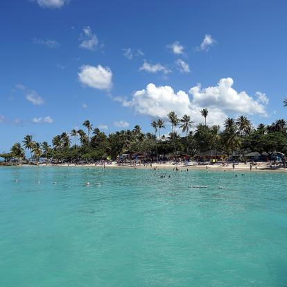 Voyage à Trinité et Tobago: La Facette Sauvage de la Caraïbe