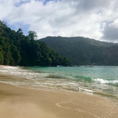 Voyage à Trinité et Tobago: La Facette Sauvage de la Caraïbe