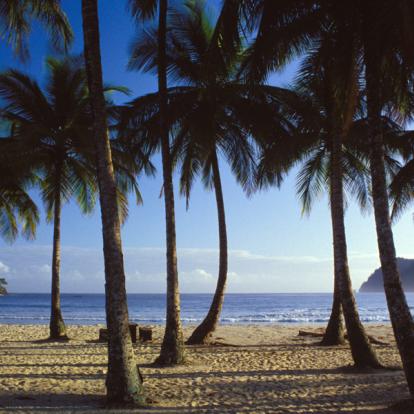 Voyage à Trinité et Tobago: La Facette Sauvage de la Caraïbe