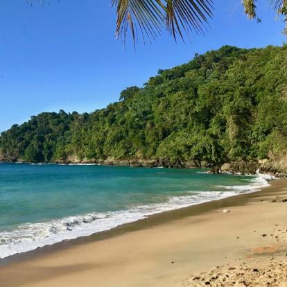 Voyage à Trinité et Tobago: La Facette Sauvage de la Caraïbe