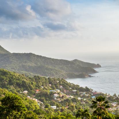 Voyage à Trinité et Tobago: Les plus belles plages de Tobago