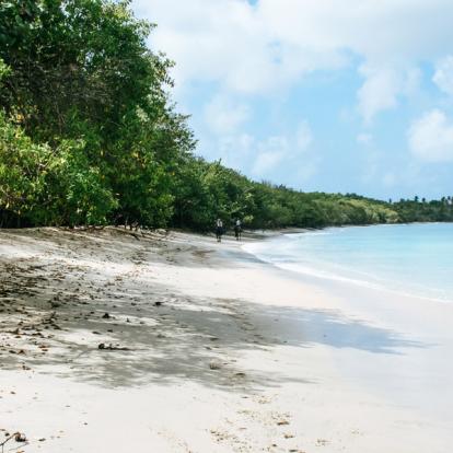 Voyage à Trinité et Tobago: Les plus belles plages de Tobago