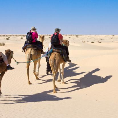 Circuit en Tunisie : Au Pays des Sabri