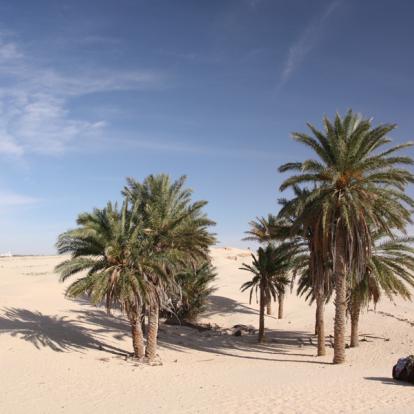 Voyage en Tunisie : Evasion Saharienne