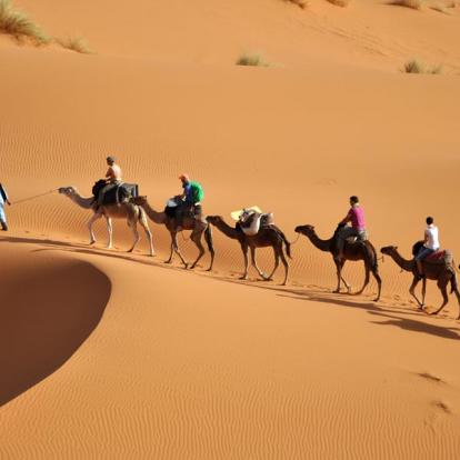 Voyage en Tunisie : Evasion Saharienne