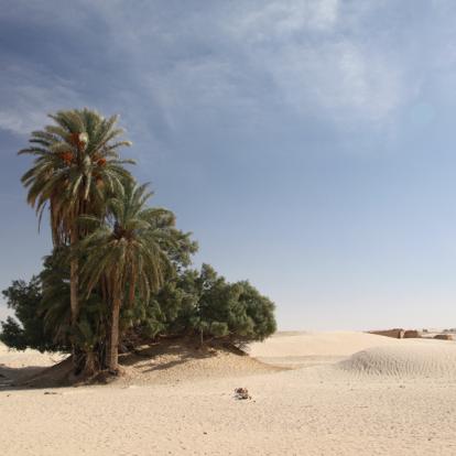 Voyage en Tunisie : Evasion Saharienne