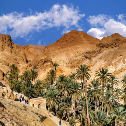Voyage en Tunisie : Evasion Saharienne