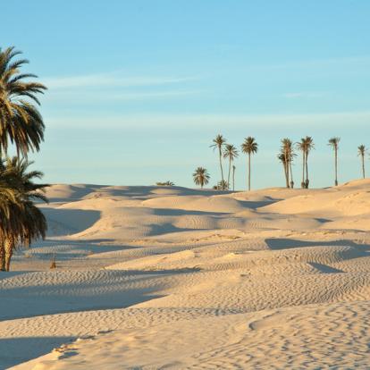 Voyage en Tunisie : Le Grand Erg