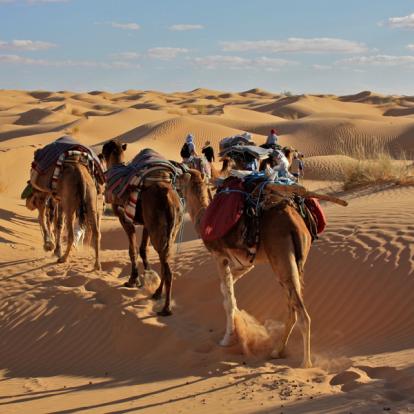 Circuit en Tunisie : Le Grand Erg