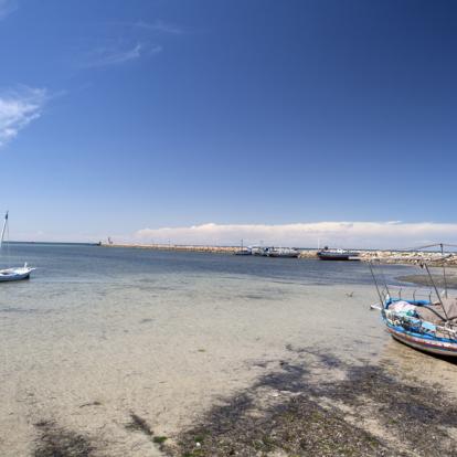 Séjour en Tunisie : Parfum d'Olives, Parfum de Mer