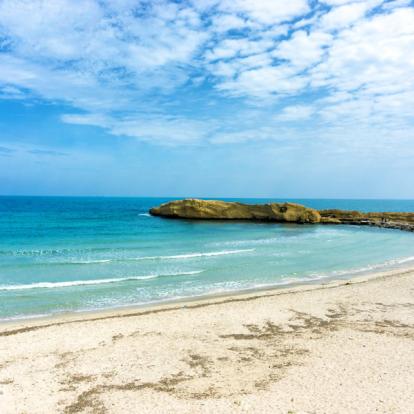 Séjour en Tunisie : Parfum d'Olives, Parfum de Mer