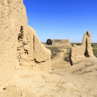 Circuit au Turkménistan : Les Charmes Cachés du Désert