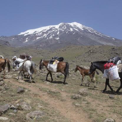 Circuit en Turquie : Le Mont Ararat et les sommets des bords de la mer Noire