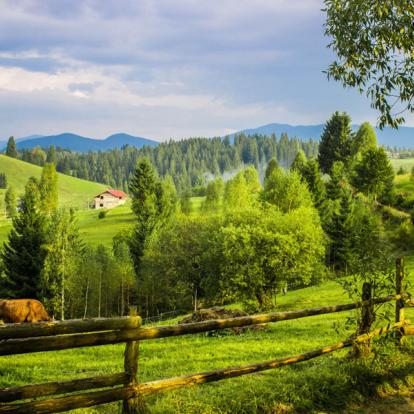 Ukraine, petit mais costaud.... Img-2020-07-02-03-21-08-j9----ukrainian-carpathians-%C2%A9alina---as_245232809-showfront-414-414