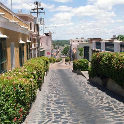 Voyage au Venezuela : Le meilleur du Venezuela