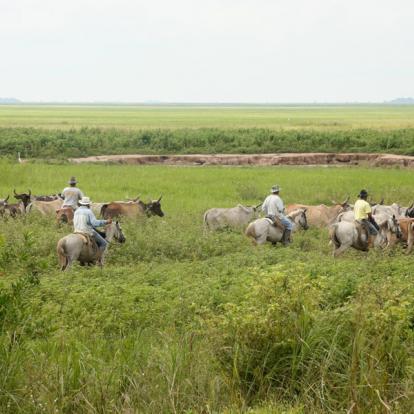 Voyage au Venezuela : Circuit Andes - Llanos - Morrocoy