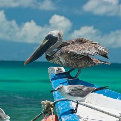 Circuit au Venezuela : Séjour dans l'archipel Los Roques