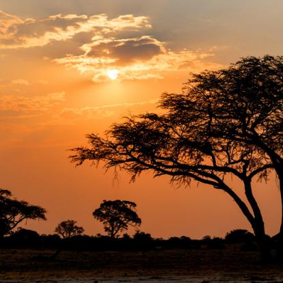Voyage en Zambie : Afrique Mémorable