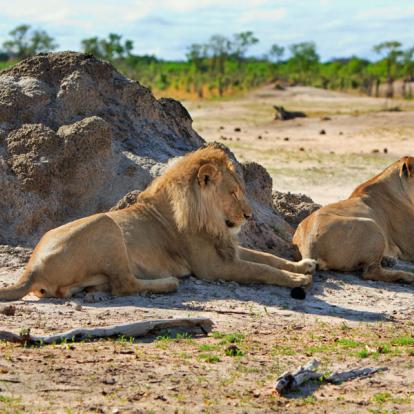 Voyage au Zimbabwe : Best of du Zimbabwe