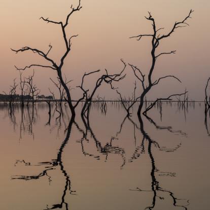 Voyage au Zimbabwe : Best of du Zimbabwe