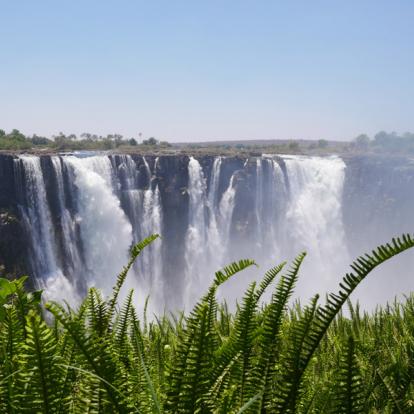 Circuit au Zimbabwe : Best of du Zimbabwe