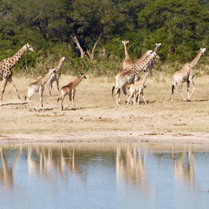 Voyage au Zimbabwe : Voyage Découverte du Zimbabwe en Terre Ndébélé