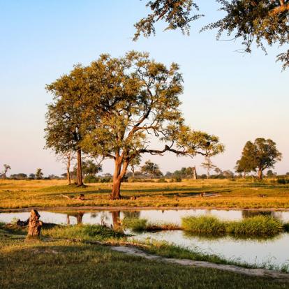 Circuit au Zimbabwe : Voyage Découverte du Zimbabwe en Terre Ndébélé