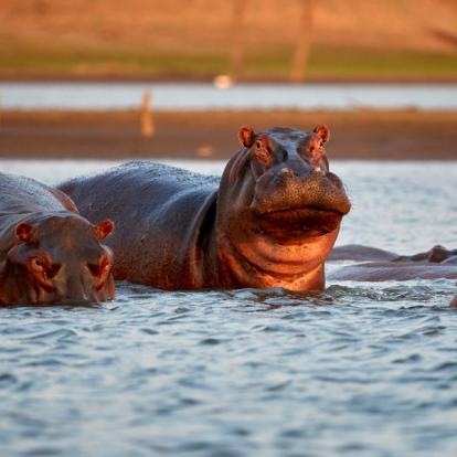 Circuit au Zimbabwe : Les Splendeurs du Zimbabwe en Famille