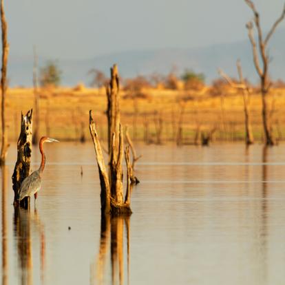 Voyage au Zimbabwe : Les Splendeurs du Zimbabwe en Famille