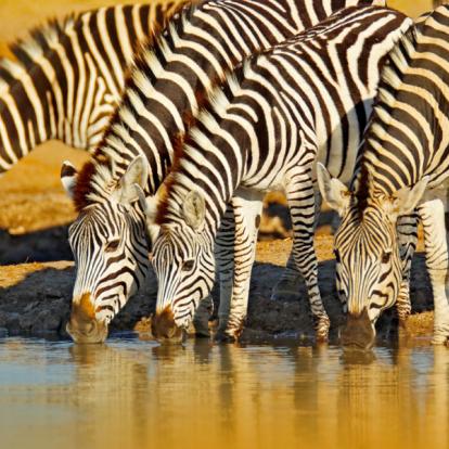 Circuit au Zimbabwe : Les Splendeurs du Zimbabwe en Famille