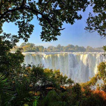 Voyage au Zimbabwe : Safaris Aficionados