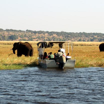 Voyage au Zimbabwe : Safaris Aficionados