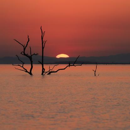 Voyage au Zimbabwe : Safaris Aficionados