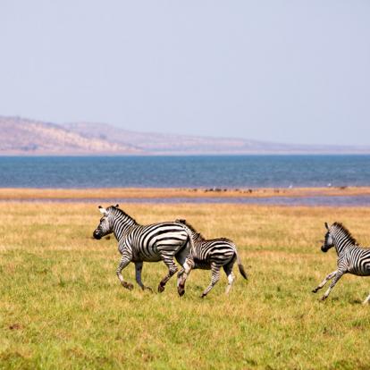 Circuit au Zimbabwe : Safaris Aficionados