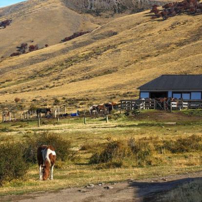 Circuit en Patagonie: Sommets et Glaciers