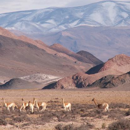 Voyage en Argentine : Traversée de la Cordillère des Andes