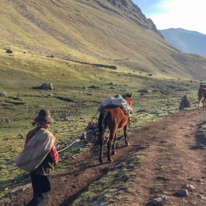 Circuit en Argentine : Traversée de la Cordillère des Andes