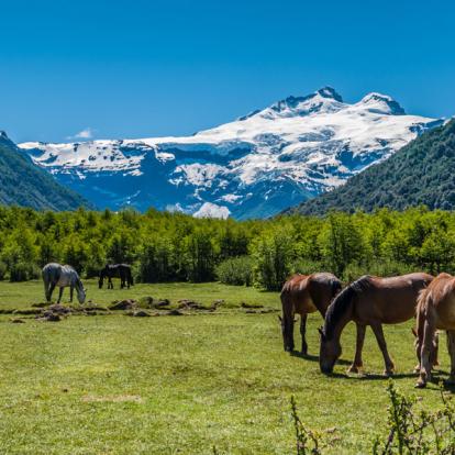 Voyage en Argentine : Traversée de la Cordillère des Andes