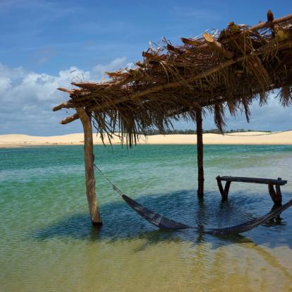Voyage Brésil : Sous Le Soleil Exactement