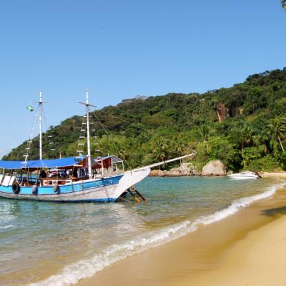 Voyage au Brésil : Vert Brésil