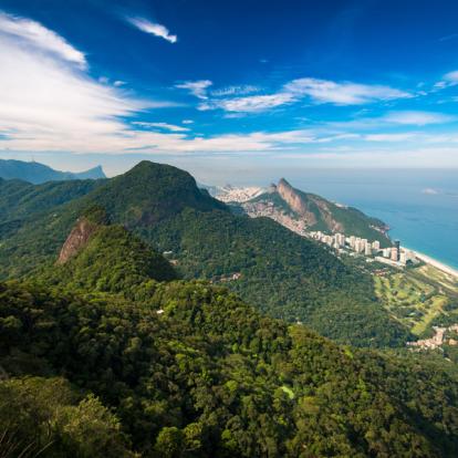 Voyage au Brésil : Vert Brésil