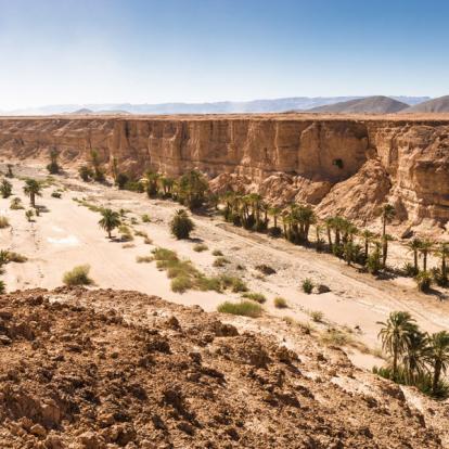 Voyage au Maroc : Massages du Désert