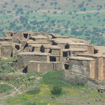 Voyage au Maroc : Palmeraies de l'Atlas