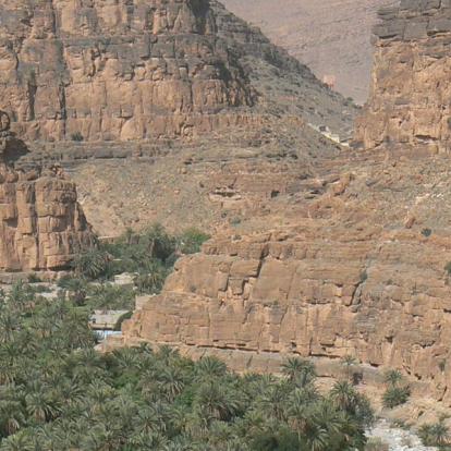 Voyage au Maroc : Palmeraies de l'Atlas